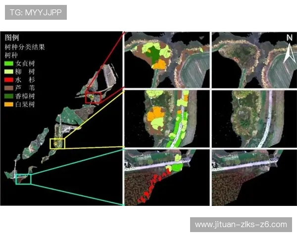 云开旗舰厅登录线路选择的重要性及优化策略详解