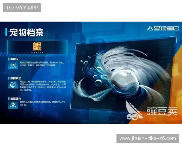 全面介绍KAIYUN开云注册登录入口的安全保障措施与账户保护技巧